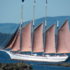 play Jigsaw: Schooner