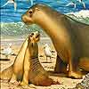 play Mother And Baby Sea Lion Puzzle