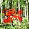 play Deer Hunting