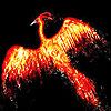 play Flame Bird Slide Puzzle
