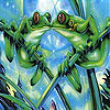 play Frogs Kissing Slide Puzzle