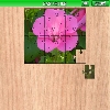 play Nasturtium