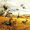 play Widgeon Family Puzzle