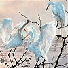 play Gracious Birds Slide Puzzle