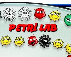 play Petri Lab