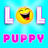 play Funny Cute Puppies