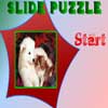 play Amazing-Friends Slide Puzzle