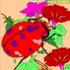play Kid'S Coloring: Garden Beetle