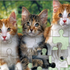 play Puzzles Large Pictures