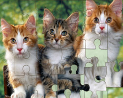 play Puzzles Large Pictures