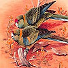 play Two Lonely Bird Puzzle