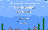 play Tiny Evolution Adventure