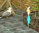 play Birds Invasion