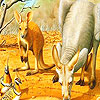 play Red Kangaroos And Birds Puzzle