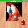 play Animals 4