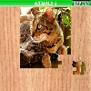 play Animals 5