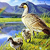 play Ducks And Rainbow Slide Puzzle