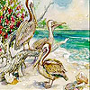 Pelicans On The Island Slide Puzzle
