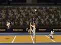 play Bunnylimpics Volleyball