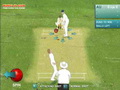 play Ashes Cricket