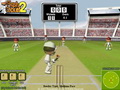 play Flash Cricket 2