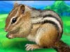 play Cute Chipmunk