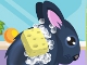 play Chinchilla Pet Care