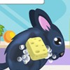play Chinchilla Pet Care