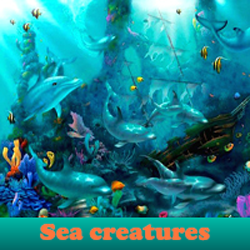 play Sea ​​Creatures. Find Objects