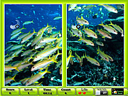 play Underwater Similarities