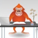 play Office Animals