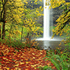 play Waterfall In Fall Jigsaw Puzzle