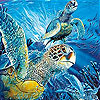 play Turtles In The Ocean Slide Puzzle