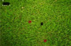 play Ant Warz