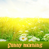 play Sunny Morning