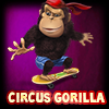 Circus Gorilla