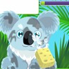 play Koala Care