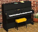 play Musical Conservatory Escape