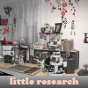 play Little Research. Find Objects