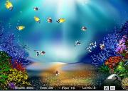 play Queen Fish Grouping