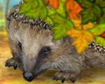 play Forest Hedgehog