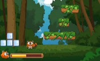 play Raccoon Jump