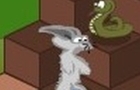 play Bunny Trouble