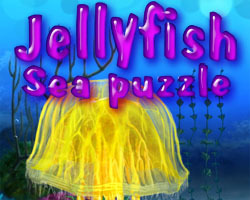 Jellyfish - Sea Puzzle