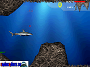 play Lost Shark