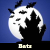 play Bats. Find Objects