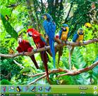 play Zoo Hidden Object
