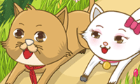 play Kitty Kingdom