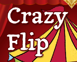 play Crazy Flip