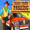 play Texas Truck Parking